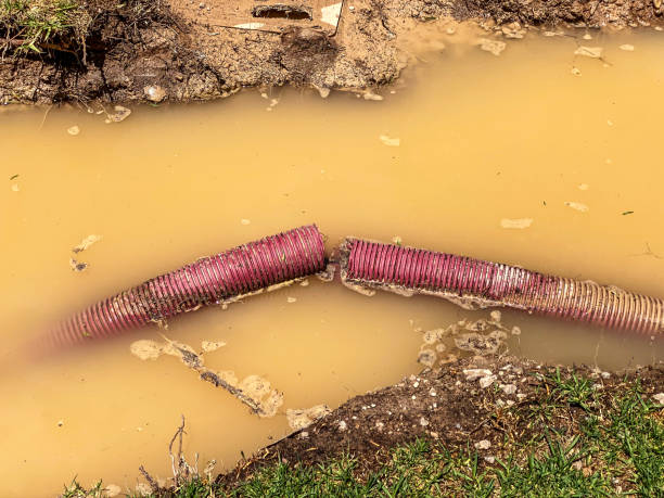 Best Water damage restoration mold remediation  in Plains, TX